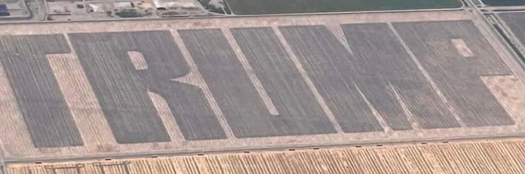 DPP Web Services banner