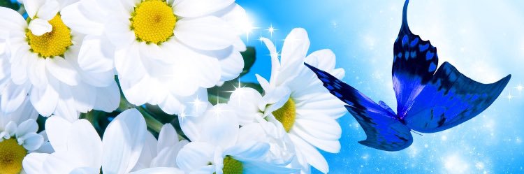 ElifCannElif's profile banner image