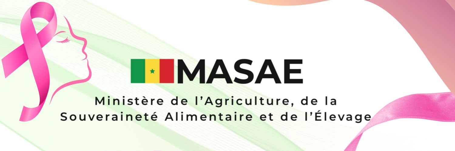 Ministère de l'Agriculture et de l'Elevage - MASAE banner
