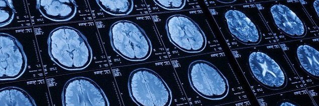 USC Herting NeuroImaging Lab banner
