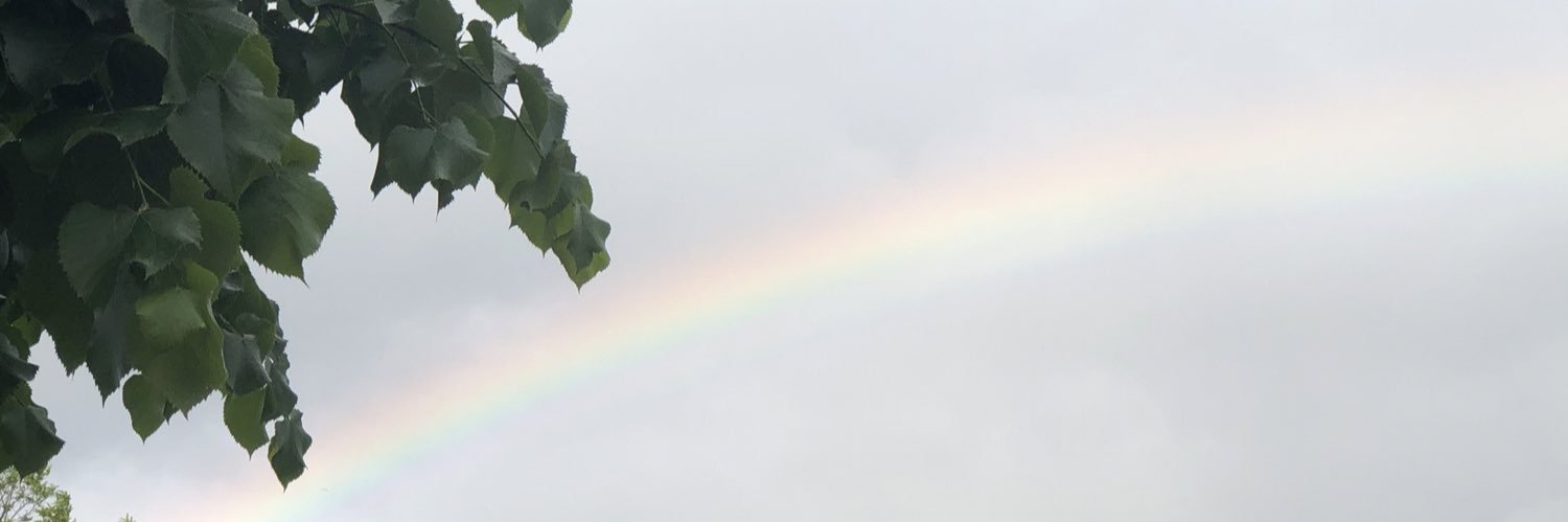 clucilla's profile banner image