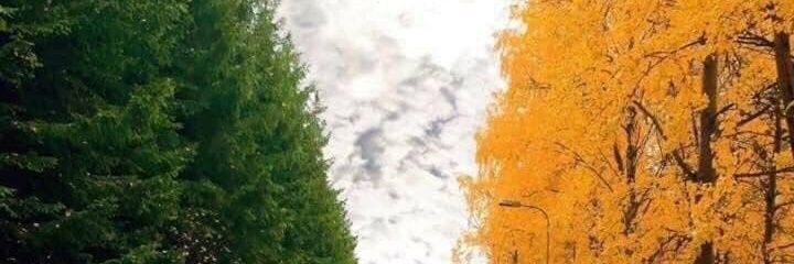 grainne2295's profile banner image