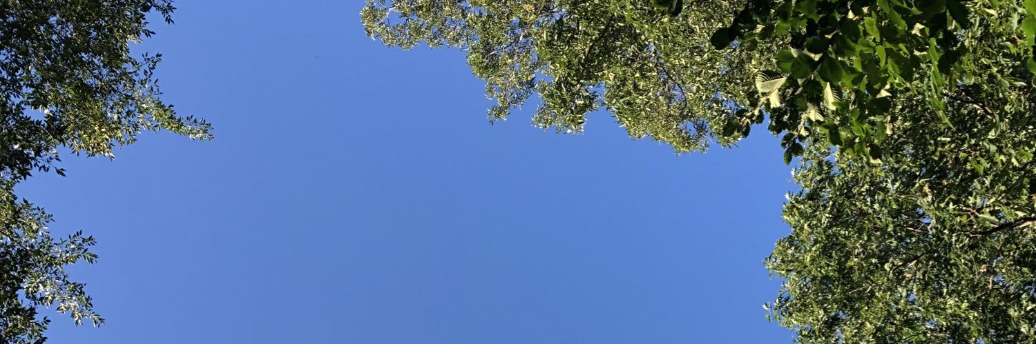xoceann's profile banner image