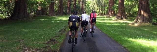 iannozza's profile banner image