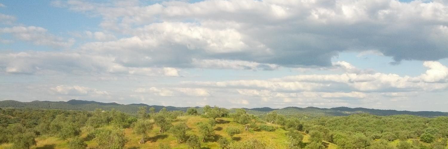 alvariitoPF's profile banner image