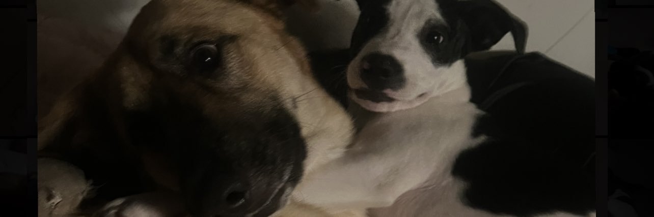 Lenyr21_'s profile banner image