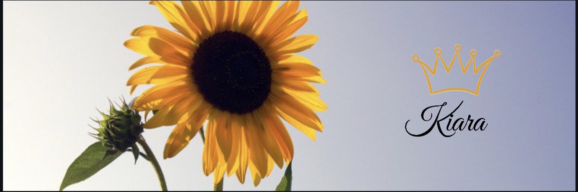 Kmoe__'s profile banner image