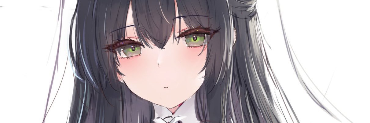 Indomidable_HMS's profile banner image