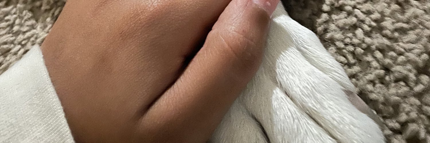 CurlyHeadQueen_'s profile banner image