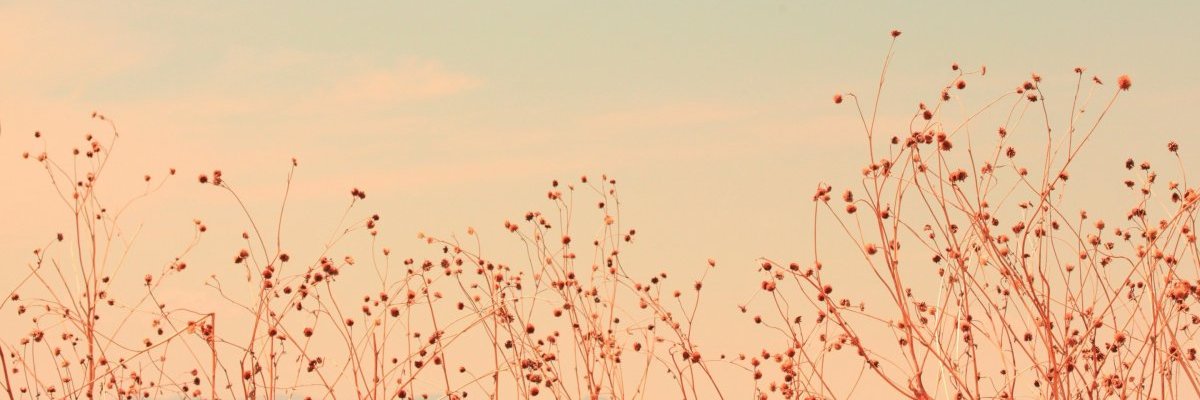 em_cutie07's profile banner image