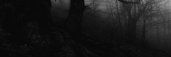 DepressedDryad's profile banner image