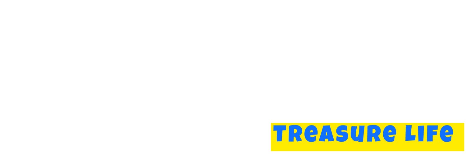 treasuredist's profile banner image