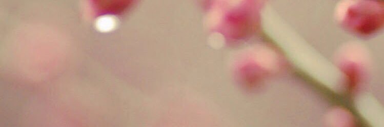 looma1411's profile banner image