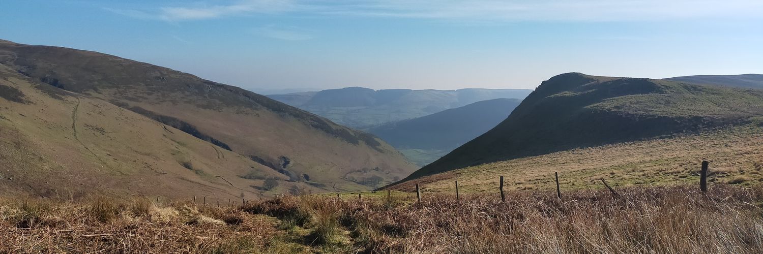 Matt Williams banner