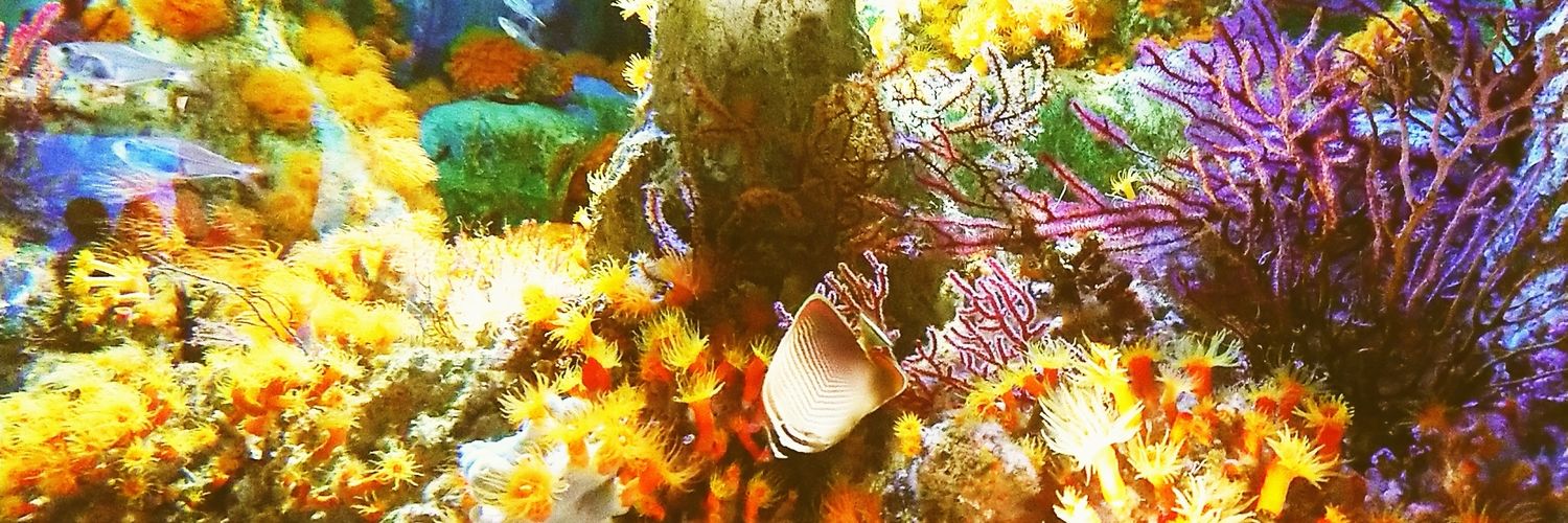 えっちゃん😊🥳🎙️📻️🎶 banner