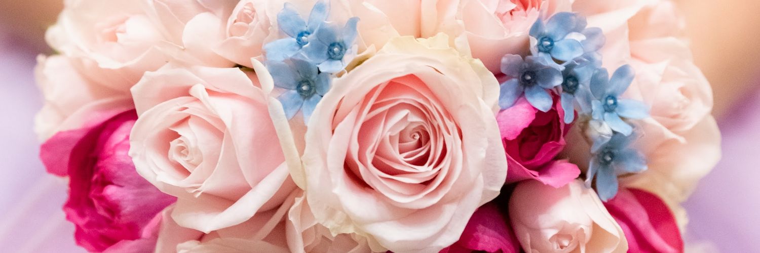bellerose87's profile banner image