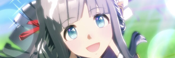 Raruru_dm's profile banner image