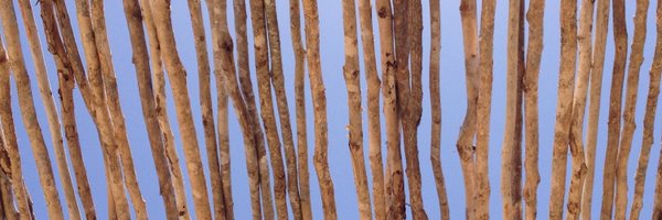 IanRandlePub Profile Banner