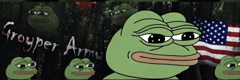 TheGroyperArmy's profile banner image