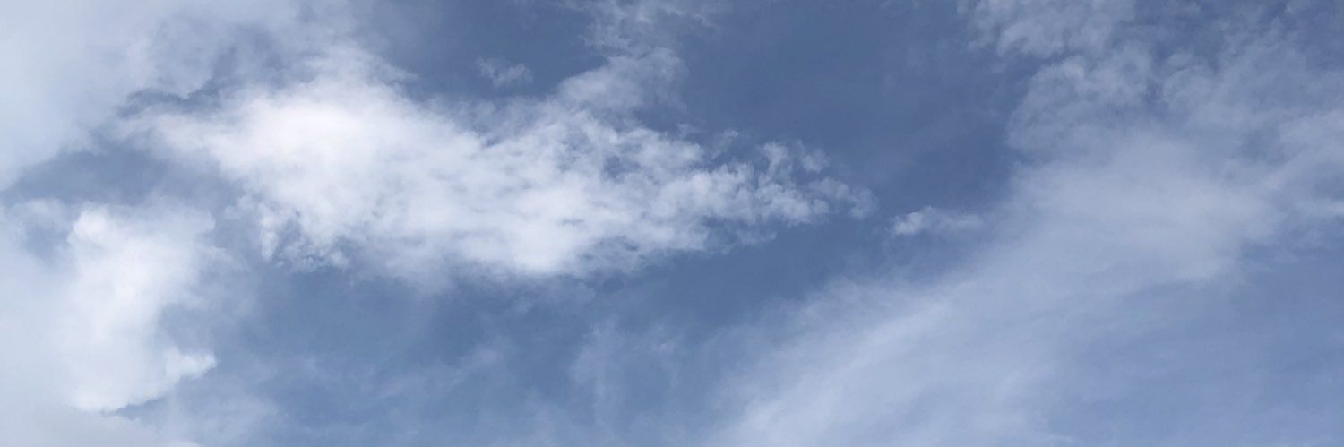beibihyunn's profile banner image