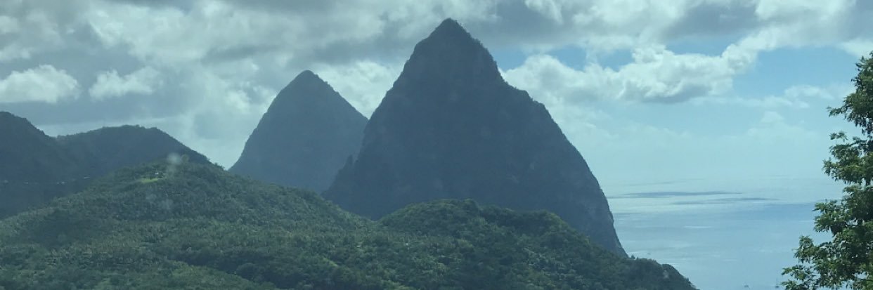 Dominique banner