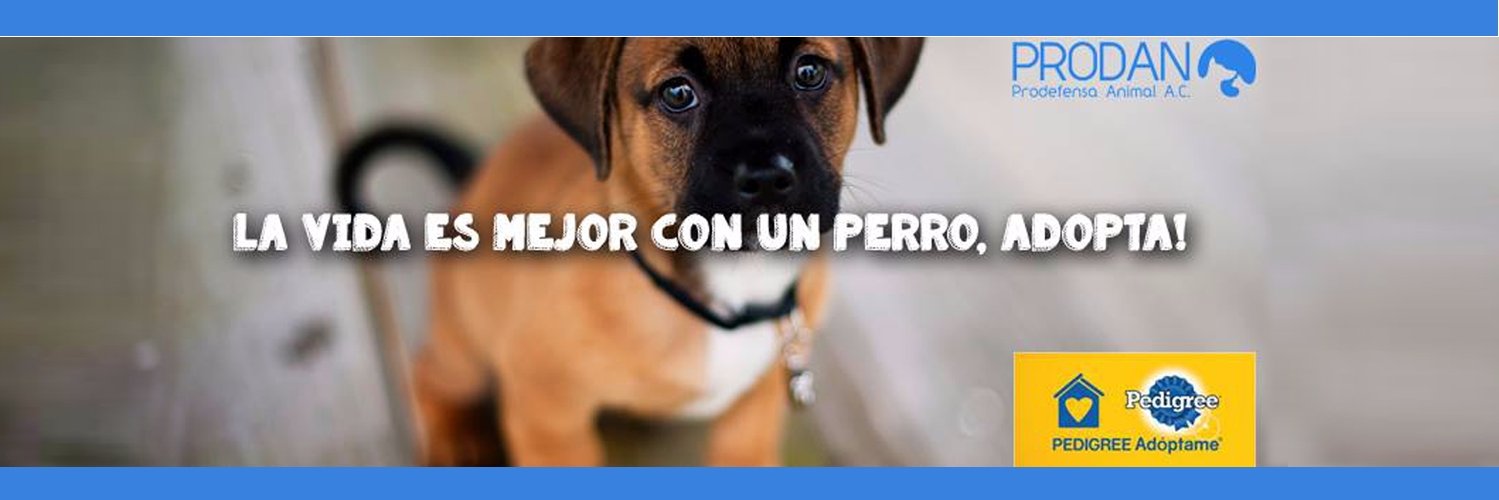 Prodefensa Animal AC banner