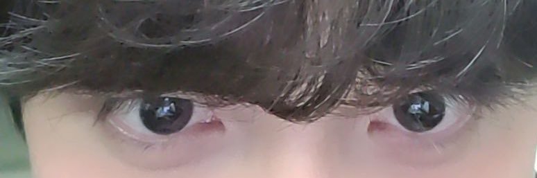 🍋 banner