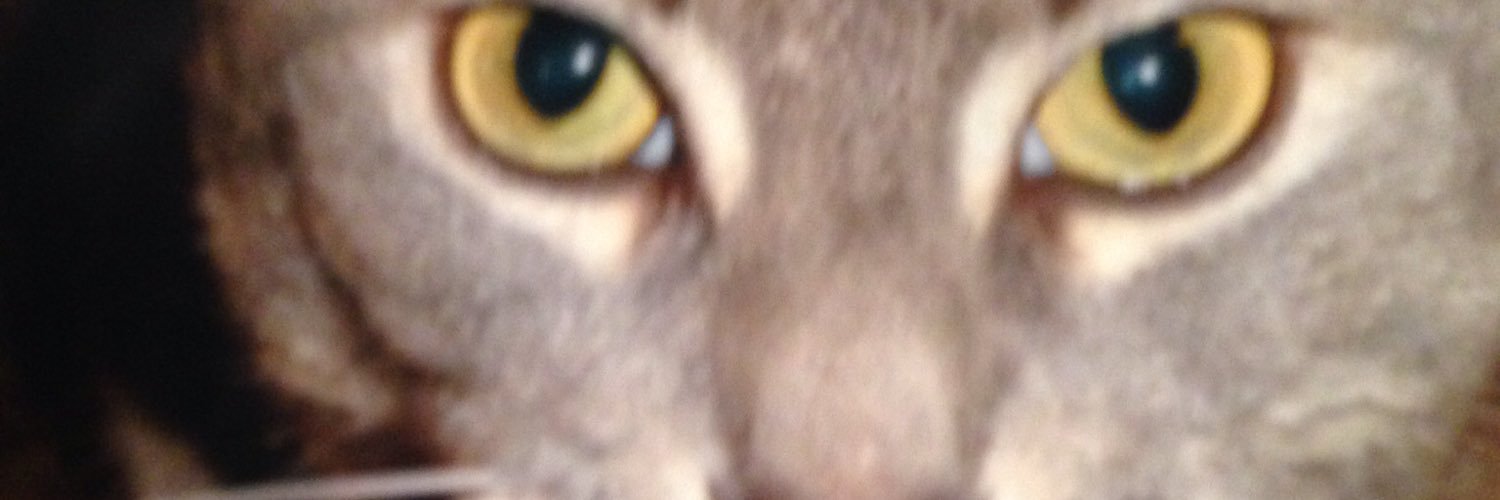 dan419theman's profile banner image