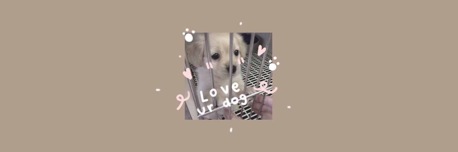 วีค banner