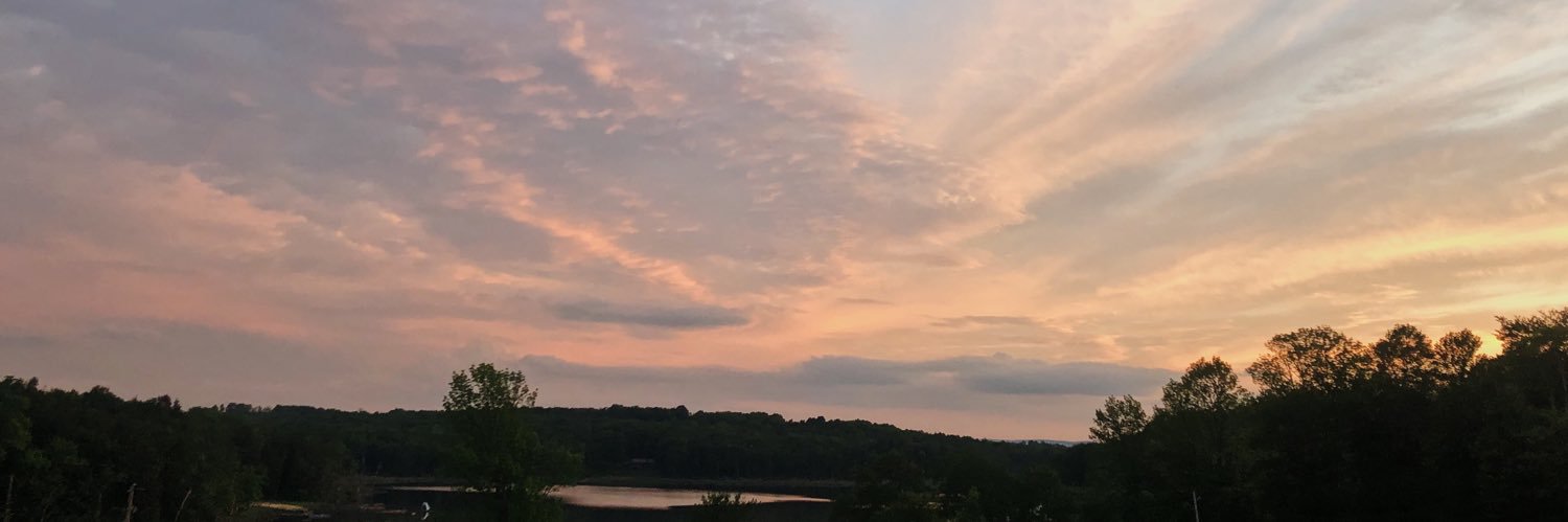 EllieRedick1's profile banner image