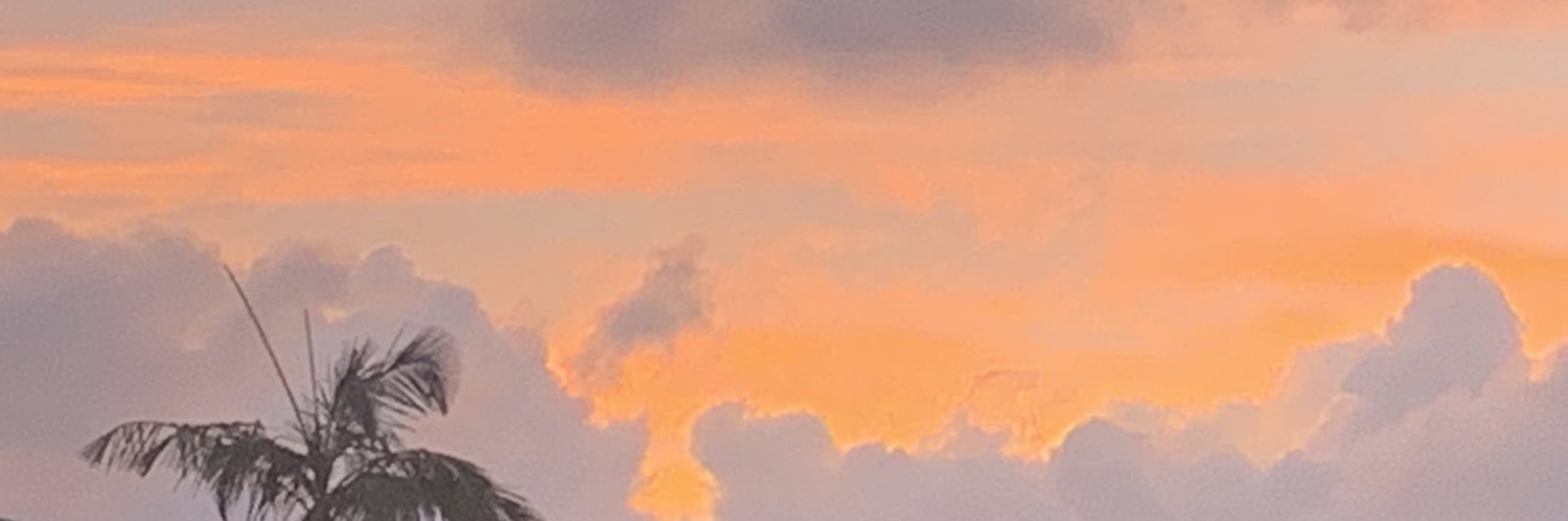 Jackson Johnson banner