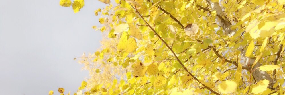 V6___ms's profile banner image