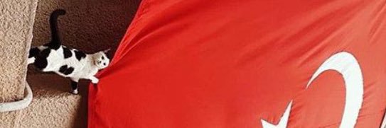 Suzan hanım merhaba banner