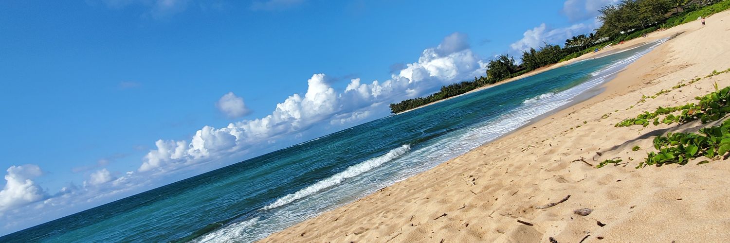 BootsAndBikini's profile banner image