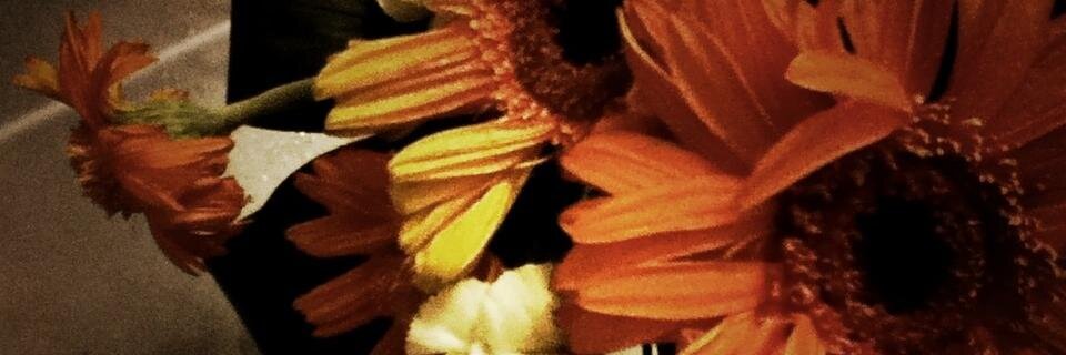 jun_bi's profile banner image