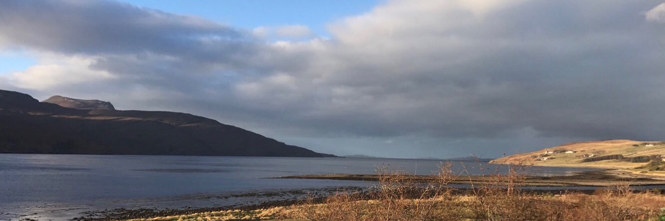 Emily Phillips banner