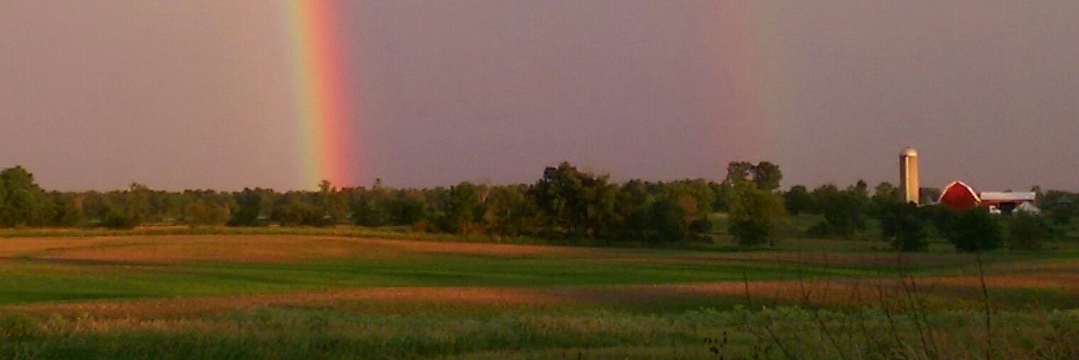 Sue_Graber's profile banner image