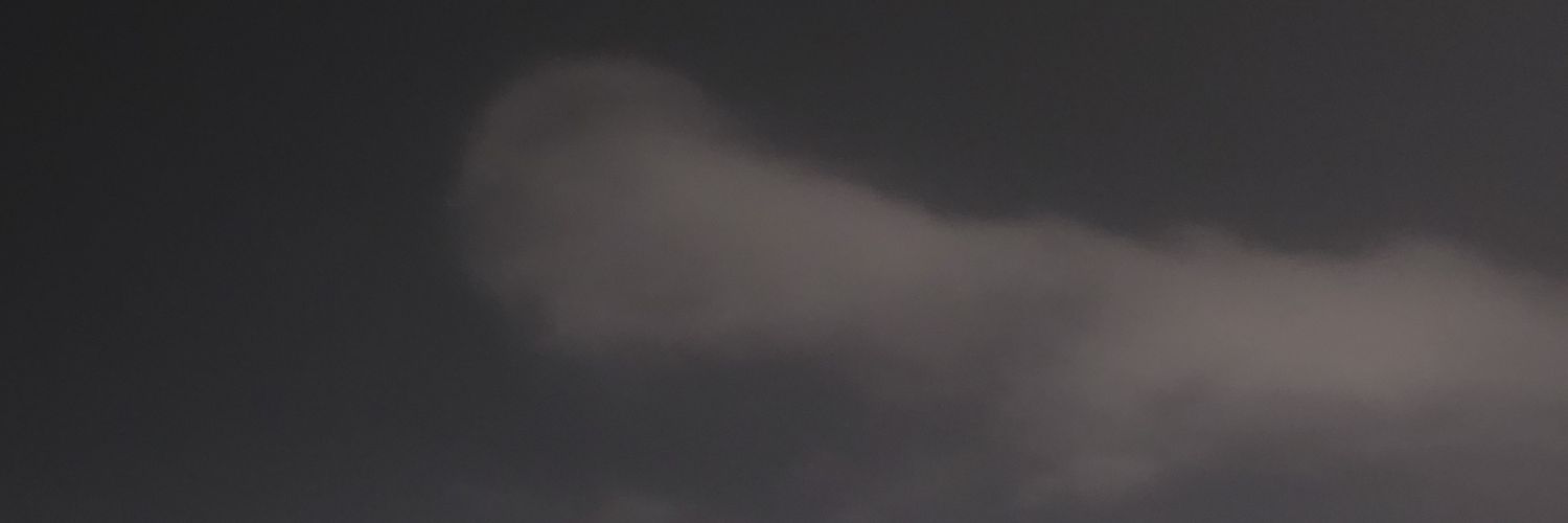 fravesa's profile banner image