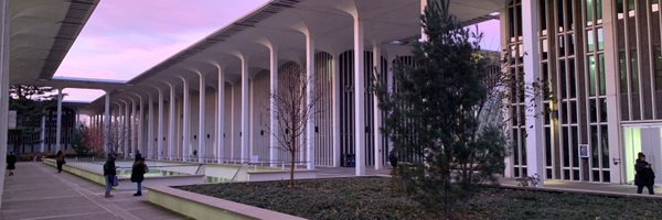 currying Profile Banner