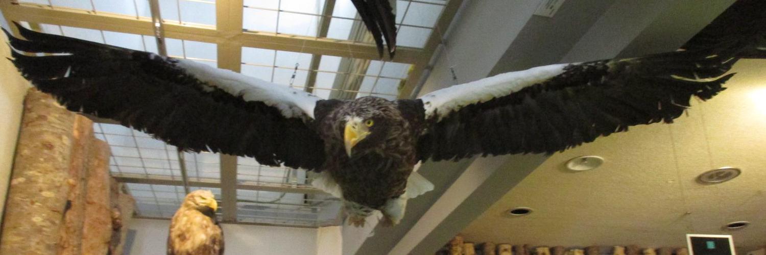 大学（代表１つ） banner