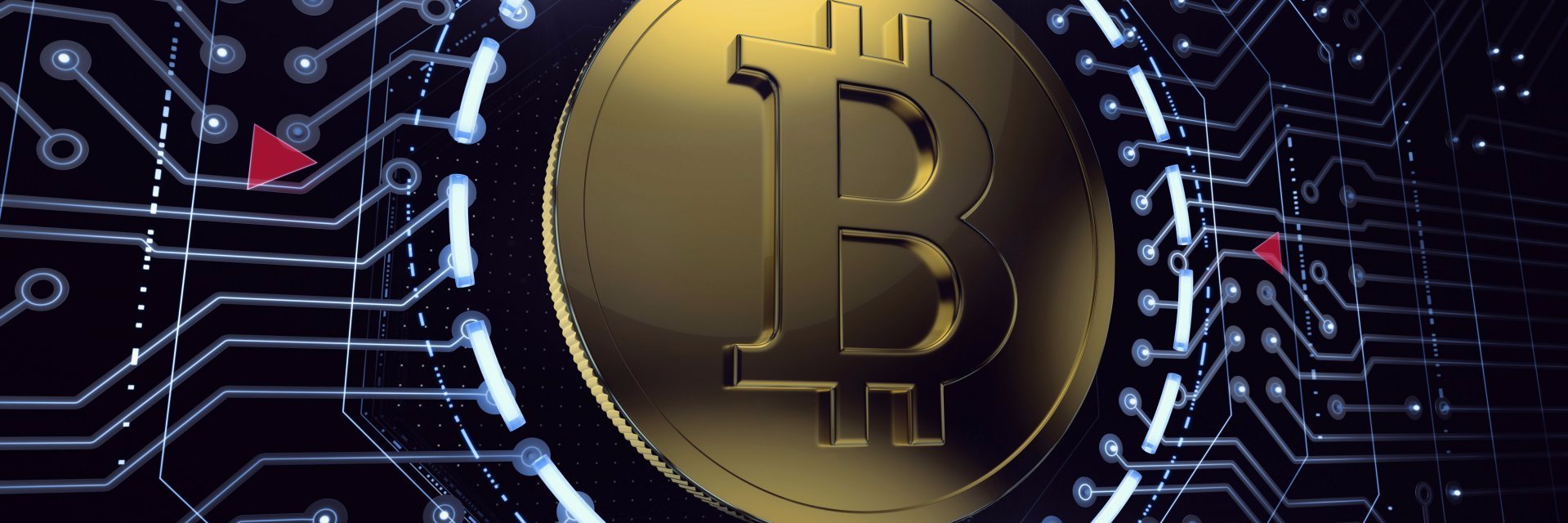 coin4trades's profile banner image
