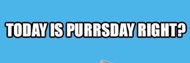 _pppurs's profile banner image
