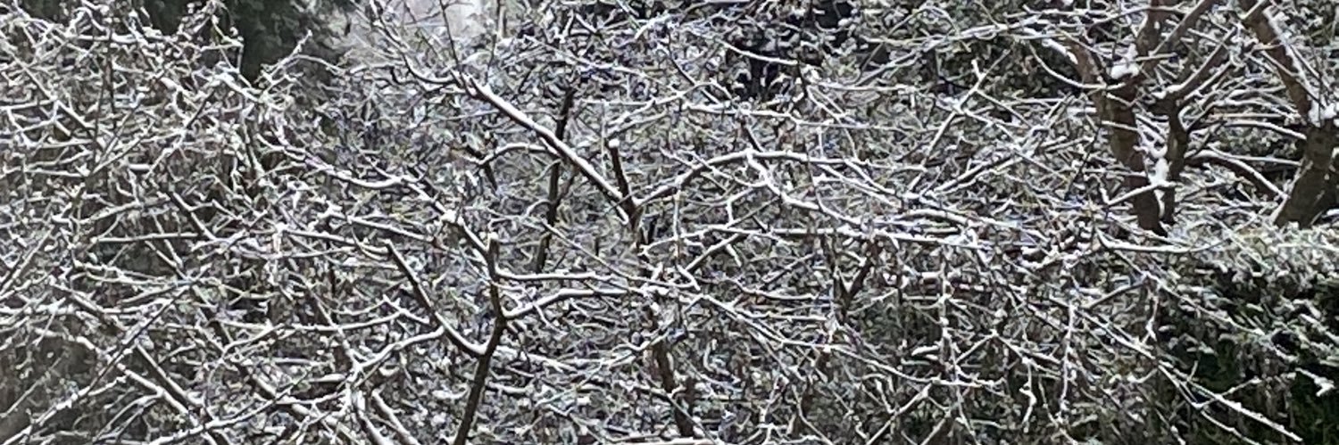 Lisa De Propris banner