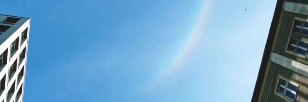 sofiaavega5's profile banner image