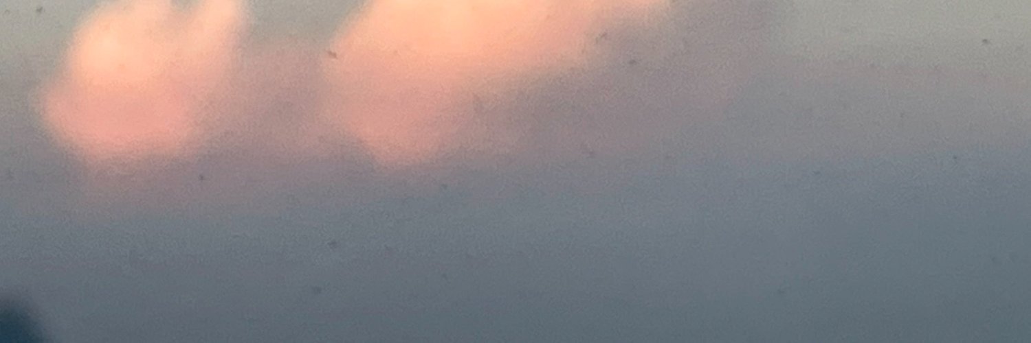 Lemon Onion Water banner