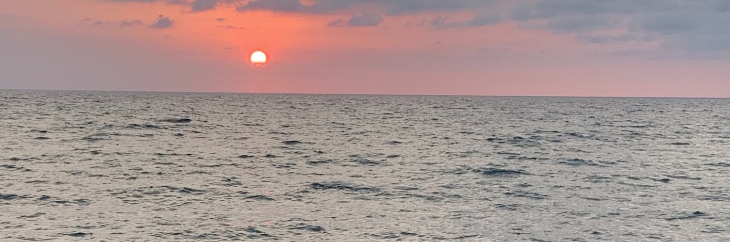 yneilalfarox's profile banner image