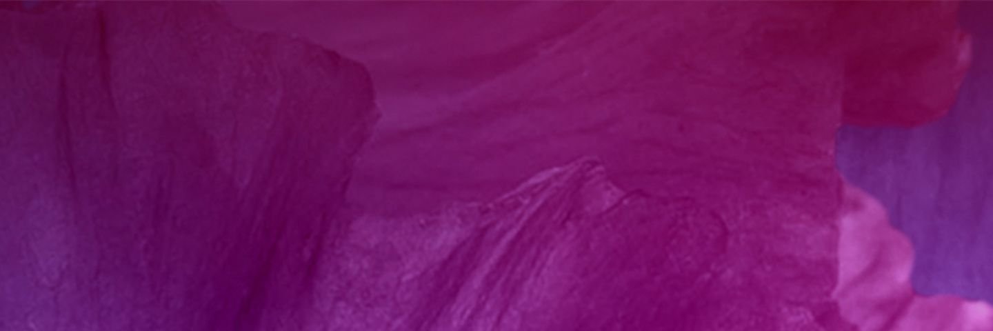 EmilyDragonLady's profile banner image