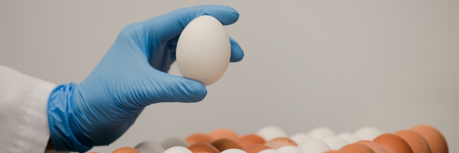 fredinthelab's profile banner image