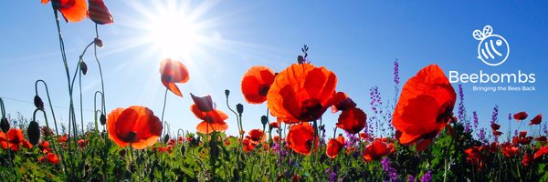 BeebombsDorset Profile Banner