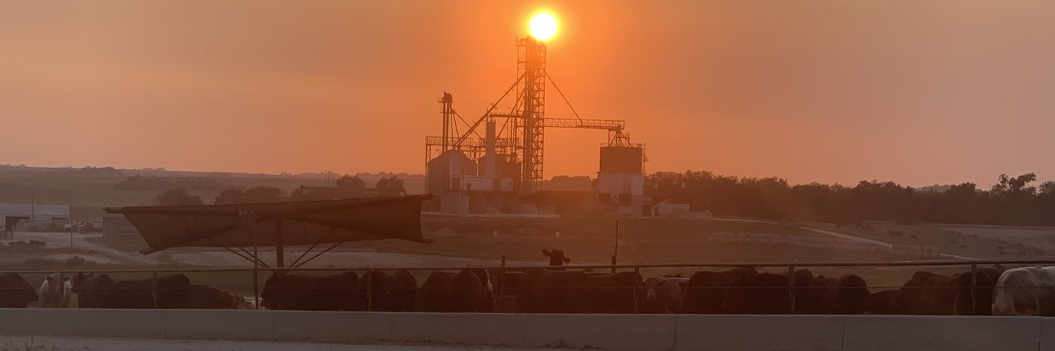 mohlfeld's profile banner image